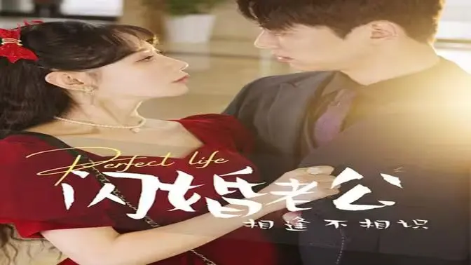 《闪婚老公相逢不相识》：爱在迷雾中，情缘一线牵