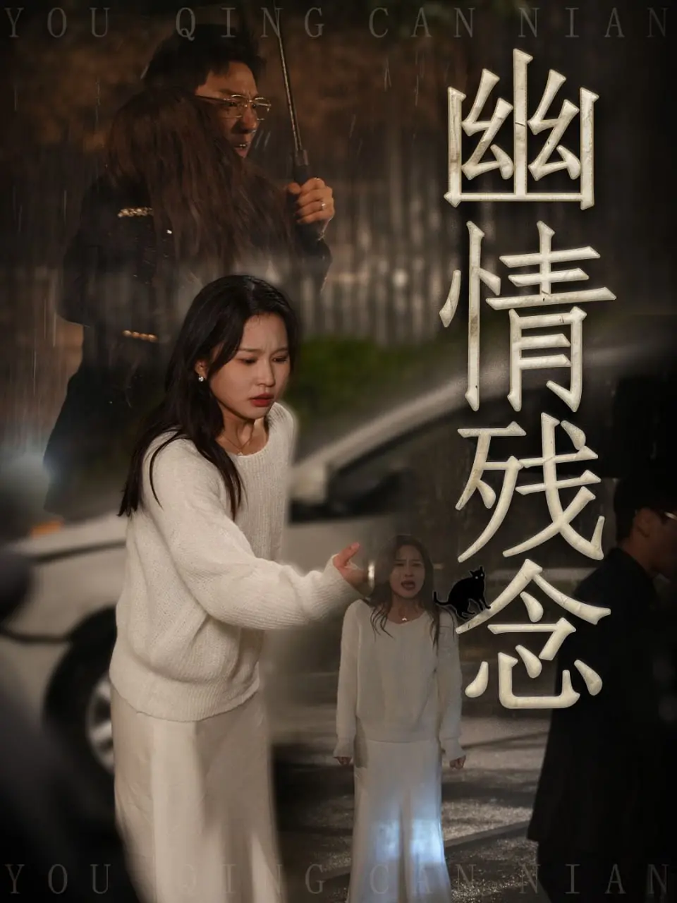 《幽情残念》：一场关于爱与遗憾的灵魂之旅，在迷雾中寻找真相的救赎之路
